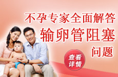 ����ר��ȫ�������ѹ���������