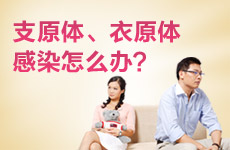 ��Ⱦ֧ԭ����ԭ����ô�죿